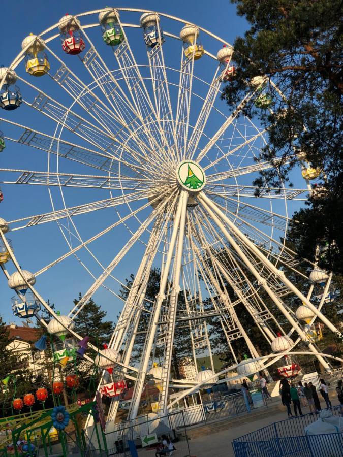 Danijela & Konak Lejlighed Zlatibor Eksteriør billede